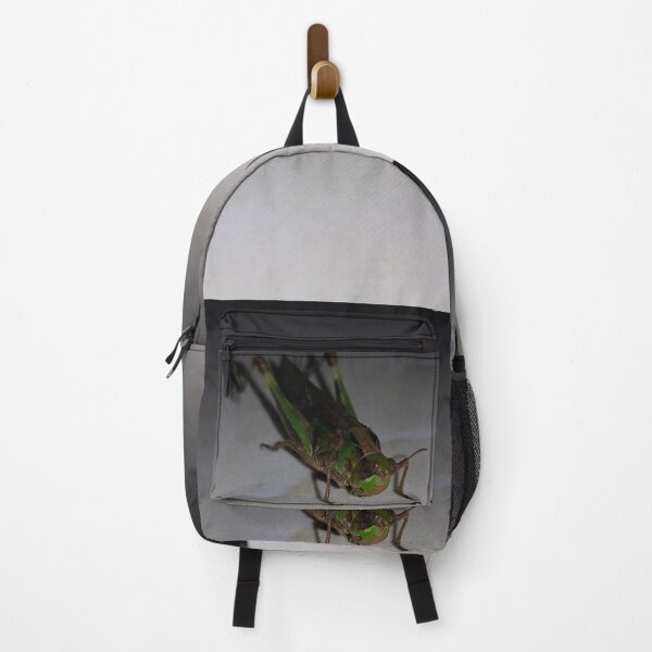 Item preview, Close up of Grasshopper on white ceramic. designed and sold by Yusuf-Design.
