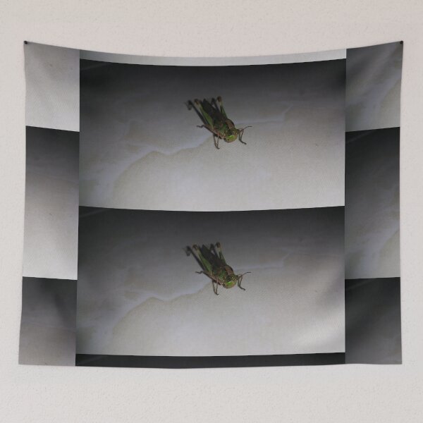 Item preview, Close up of Grasshopper on white ceramic.  designed and sold by Yusuf-Design.