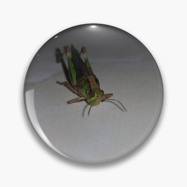 Item preview, Grasshopper on ceramic  ||  Locust designed and sold by Yusuf-Design.