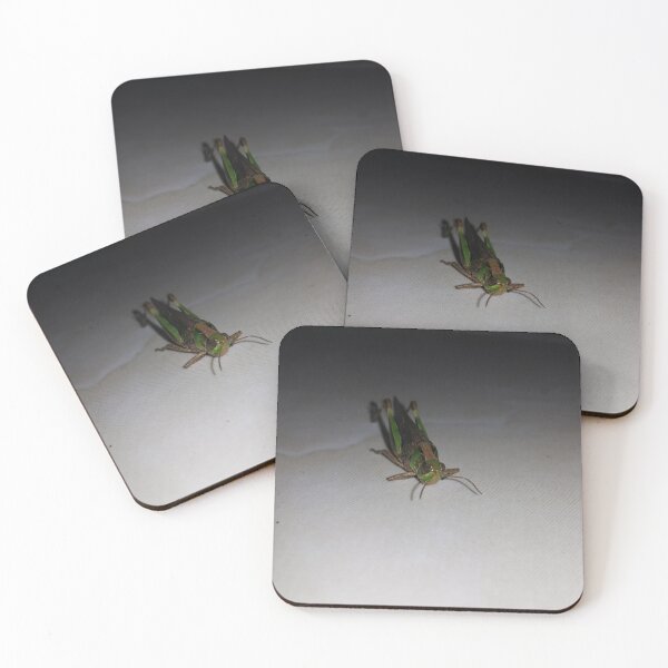 Item preview, Grasshopper on ceramic  ||  Locust designed and sold by Yusuf-Design.
