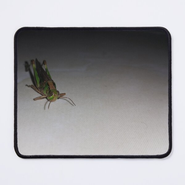 Item preview, Grasshopper on ceramic || Locust designed and sold by Yusuf-Design.
