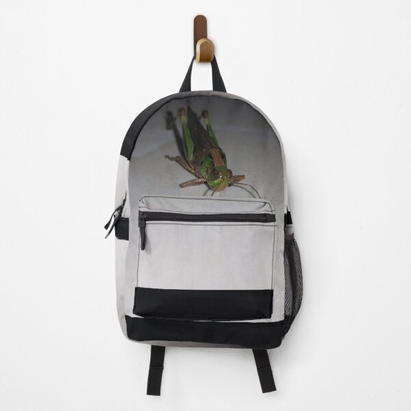 Item preview, Grasshopper on ceramic  ||  Locust designed and sold by Yusuf-Design.