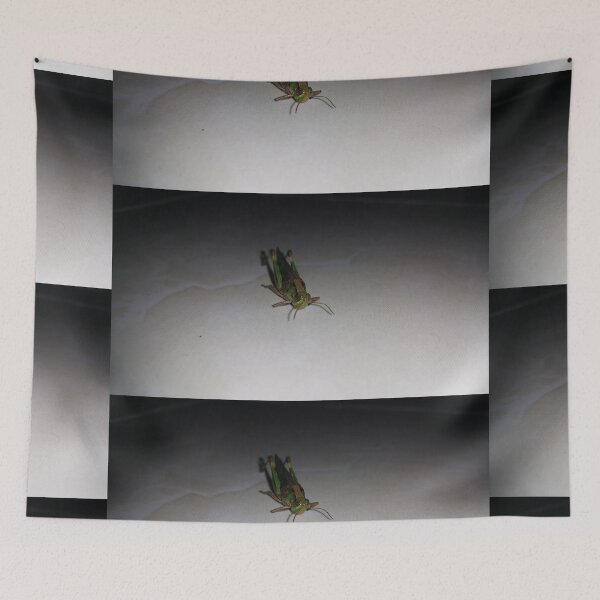 Item preview, Grasshopper on ceramic  ||  Locust designed and sold by Yusuf-Design.