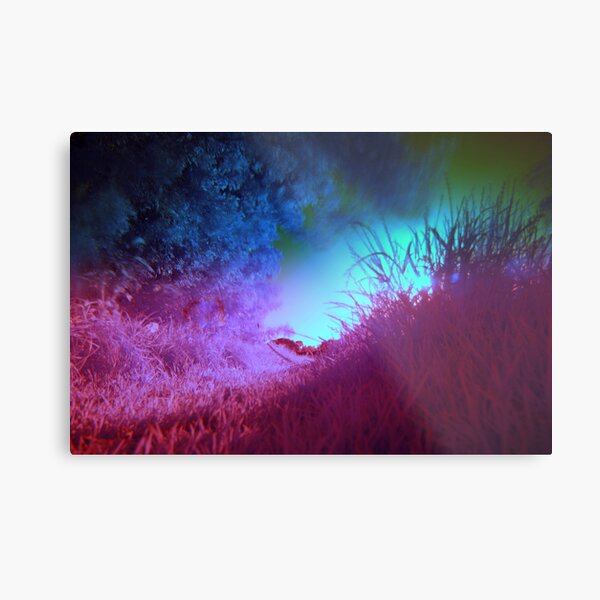Blown Away Metal Print