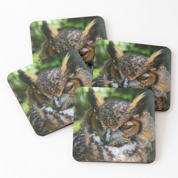 Item preview, Great Horned Owl Portrait designed and sold by MercerImages.