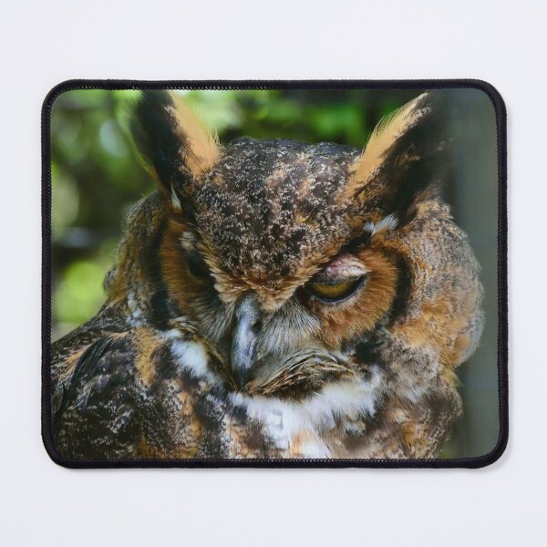 Item preview, Great Horned Owl Portrait designed and sold by MercerImages.