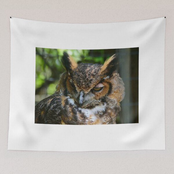 Item preview, Great Horned Owl Portrait designed and sold by MercerImages.