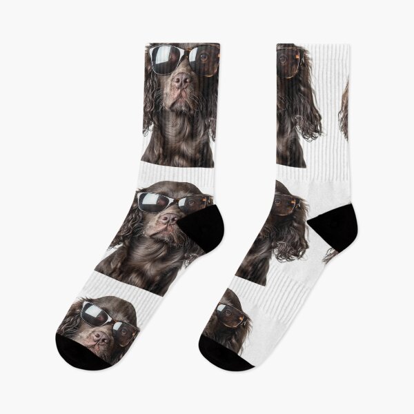 Item preview, Funny cool Boykin Spaniel Dog wearing sunglasses designed and sold by LazyOwlStore.