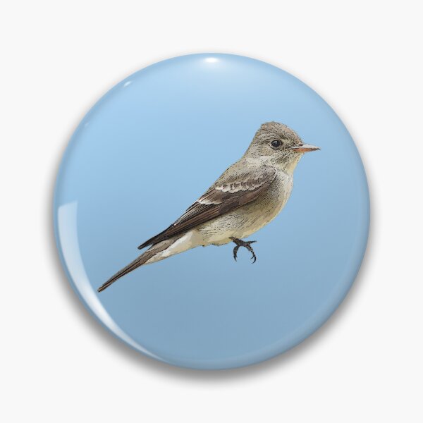 Item preview, Western Wood-Pewee Color Design  designed and sold by designsasstultd.