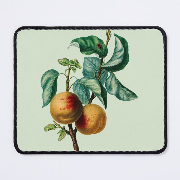 Item preview, Antique Yellow and Red Apricots On A Branch designed and sold by IrisAndIvy.