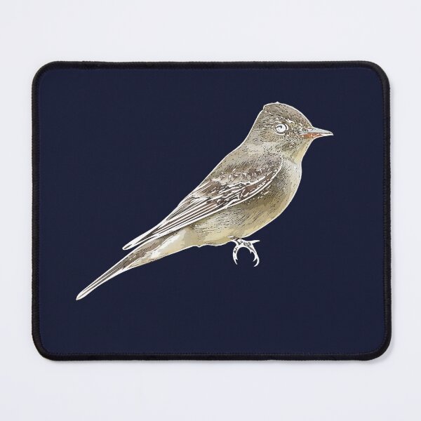 Item preview, Western Wood-Pewee White Alternate Design designed and sold by designsasstultd.