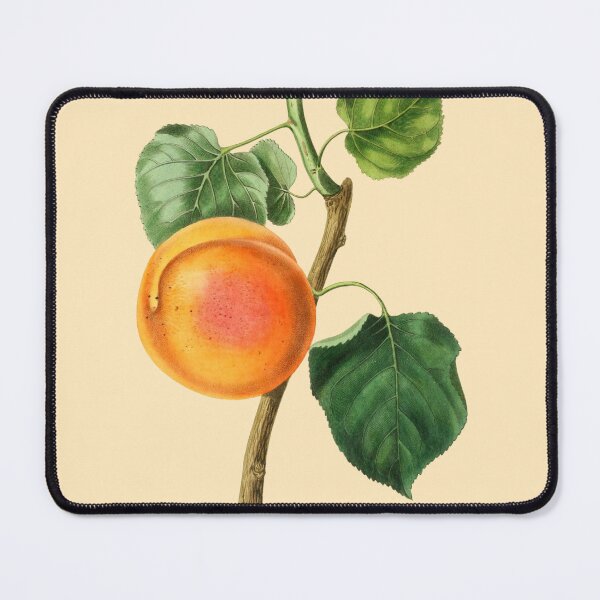 Item preview, Antique Bright Orange Apricot On A Branch designed and sold by IrisAndIvy.