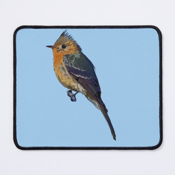 Item preview, Tufted Flycatcher Color Design  designed and sold by designsasstultd.