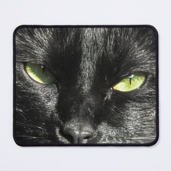 Item preview, Aurora cat. designed and sold by Nino rocha fotografia.