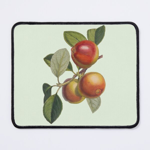 Item preview, Antique Bright Irish Rustic Red and Yellow Apples designed and sold by IrisAndIvy.