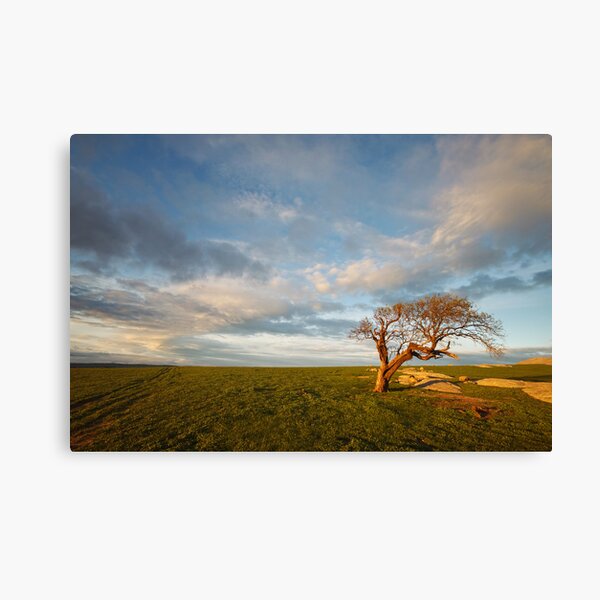The Geelong Landscape Canvas Print