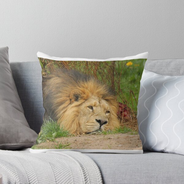 Item preview, Relaxing Lion designed and sold by Dave646.