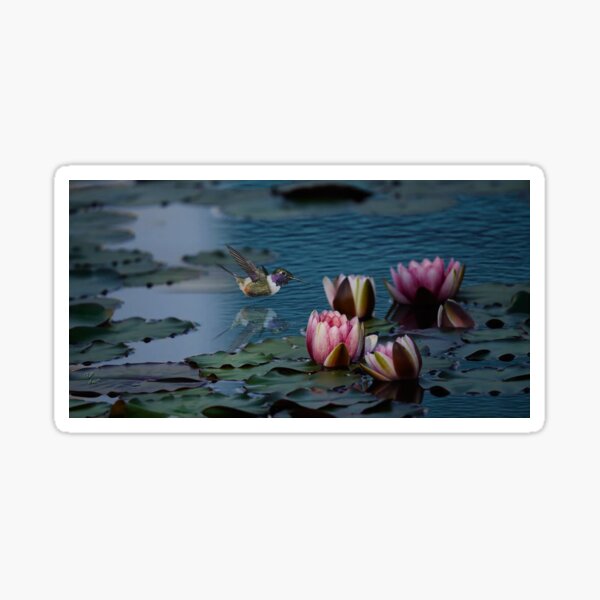 Item preview, The Humingbird & The Lotus designed and sold by billfox256.
