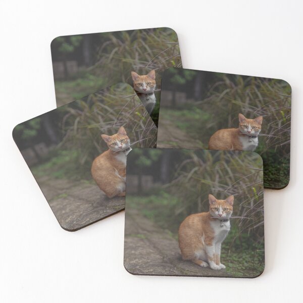 Item preview, KeYa Kitten designed and sold by eidetic-storage.
