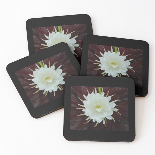 Item preview,  Kadupul Flower#5 designed and sold by Helios Be. Lavsh.