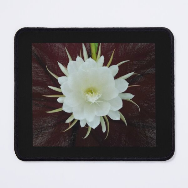 Item preview,  Kadupul Flower#5 designed and sold by Helios Be. Lavsh.