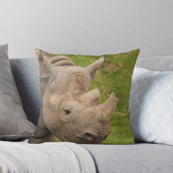 Item preview, Young Rhino designed and sold by Dave646.