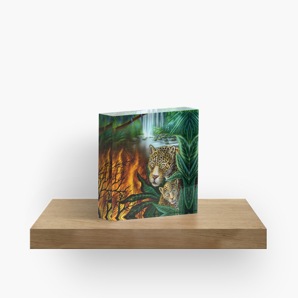 Item preview, Acrylic Block designed and sold by AerhalevArt.