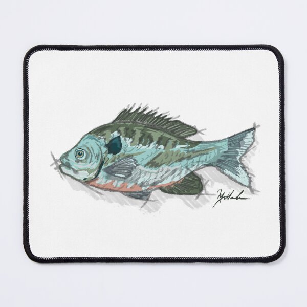 Item preview, Blue Gill sketch designed and sold by Michael Garber.