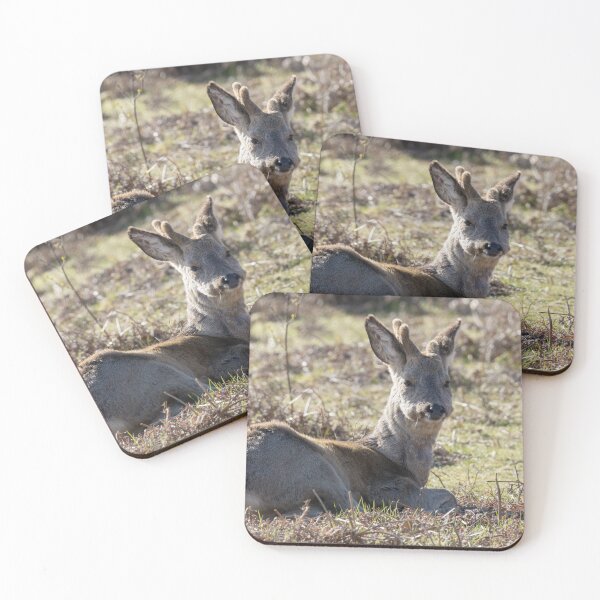 Item preview, Roe Deer designed and sold by LaurenTucker.