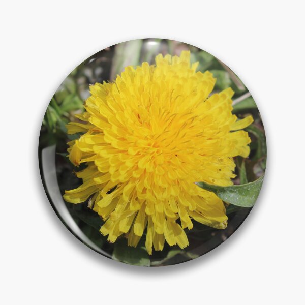 Item preview, Dandelion  designed and sold by McFleur's Lens.