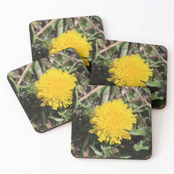 Item preview, Dandelion  designed and sold by McFleur's Lens.