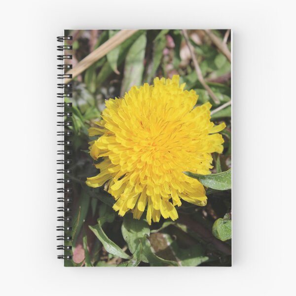 Item preview, Dandelion  designed and sold by McFleur's Lens.