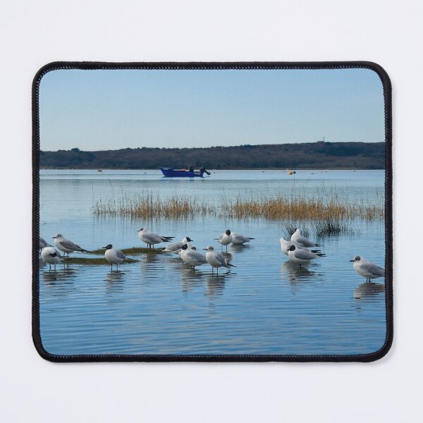 Item preview, Christchurch Harbour designed and sold by lisadw.