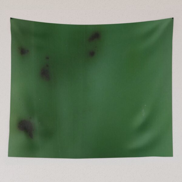 Item preview, Nephrite Jade Surface – Deep Green Texture designed and sold by SurfaceCraft Studio.