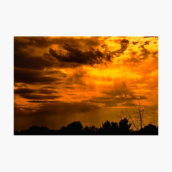 Item preview, Golden Horizon designed and sold by RediscoverdLens.