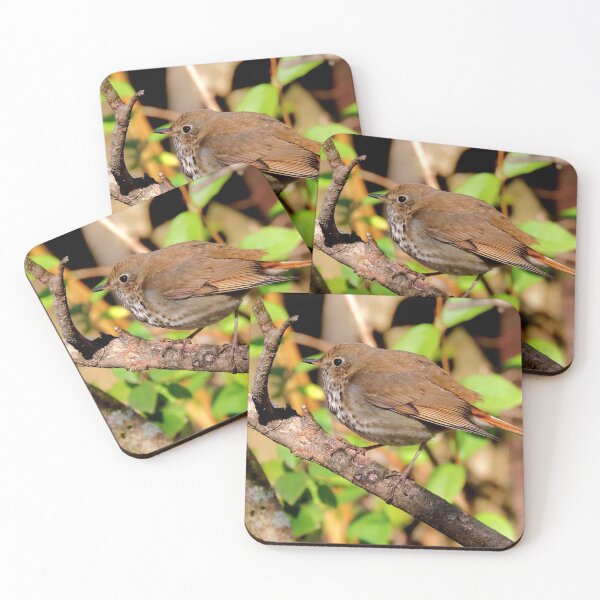 Item preview, Hermit thrush  designed and sold by Parks and X.