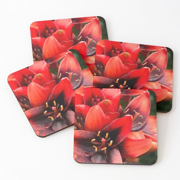 Item preview, Outrageous Tulips designed and sold by Been2Canaan.