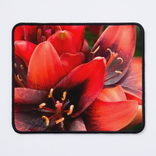 Item preview, Outrageous Tulips designed and sold by Been2Canaan.