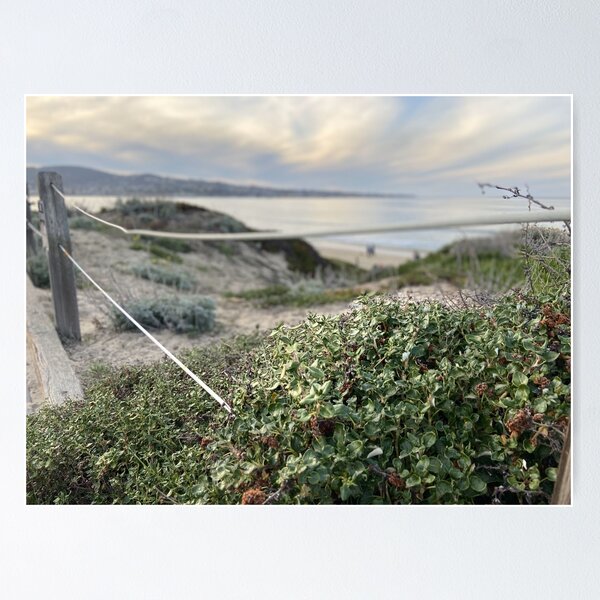 Item preview, Seaside CA - View of Pacific Grove designed and sold by binspired2shop.