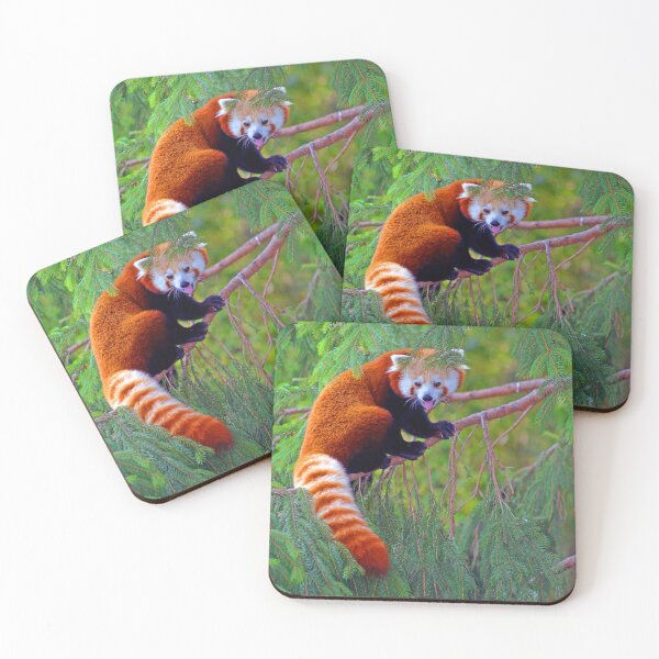 Item preview, RED PANDA designed and sold by PHOTO RUSH.