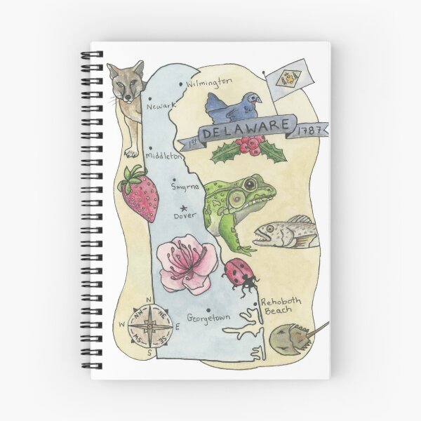 Item preview, Map of Delaware - State Map designed and sold by Platinumfrog.