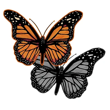 Artwork thumbnail, Butterfly Rise by OutJsWindow