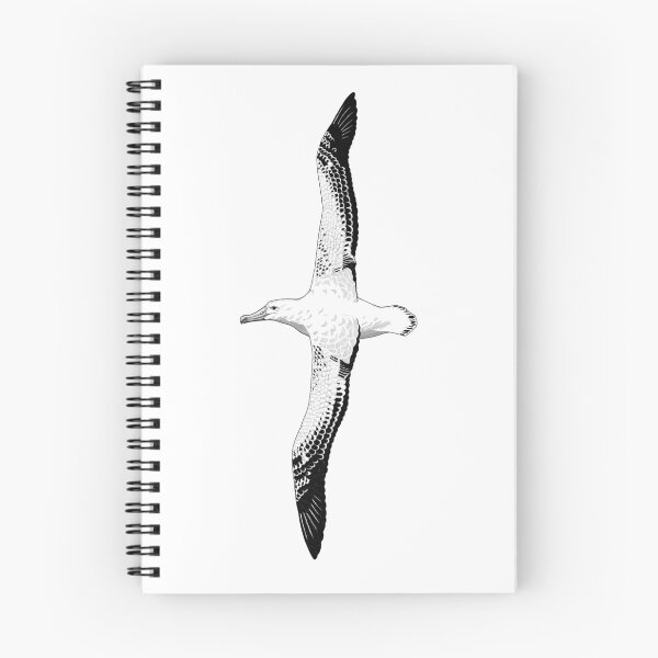 Item preview, Albatross Illustration designed and sold by rmnicholsart.