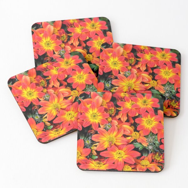 Item preview, Campfire Flame Bidens Hybrid designed and sold by heatherfriedman.