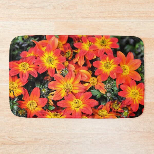 Artikelvorschau, Campfire Flame Bidens Hybrid entworfen und verkauft von heatherfriedman.
