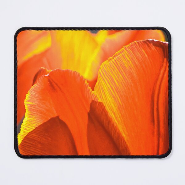 Item preview, Illuminated Tulip Petals designed and sold by Been2Canaan.