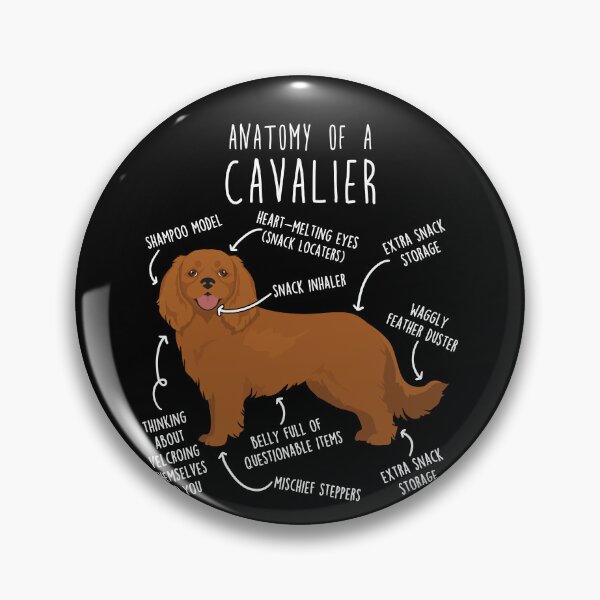 Item preview, Ruby Cavalier King Charles Spaniel Dog Anatomy designed and sold by Clara Hollins.
