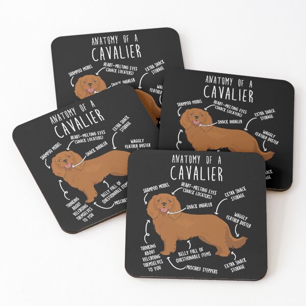 Item preview, Ruby Cavalier King Charles Spaniel Dog Anatomy designed and sold by Clara Hollins.
