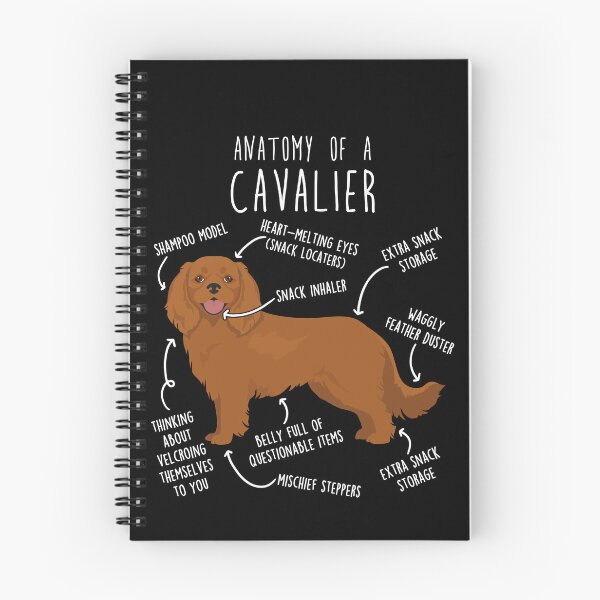 Item preview, Ruby Cavalier King Charles Spaniel Dog Anatomy designed and sold by Clara Hollins.