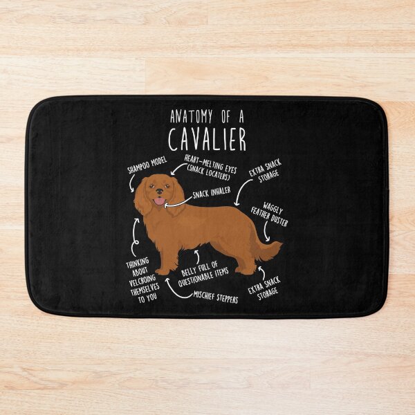 Item preview, Ruby Cavalier King Charles Spaniel Dog Anatomy designed and sold by Clara Hollins.